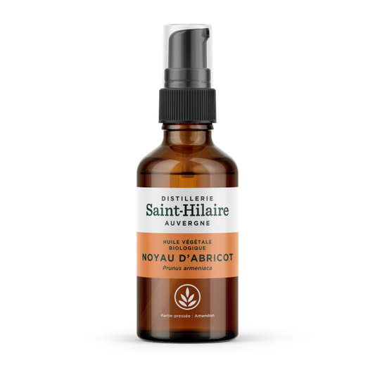 Huile végétale de noyau d'abricot bio - 1